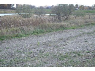 Property photo 50 - 127 Acres Offered in 8 Tracts - Allen & Dekalb County Land